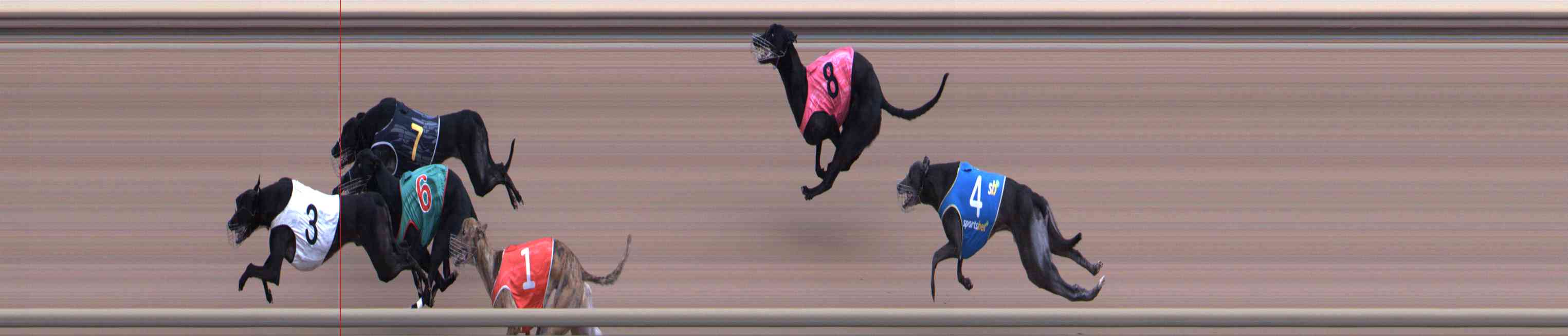 Photo finish for Healesville Race 4