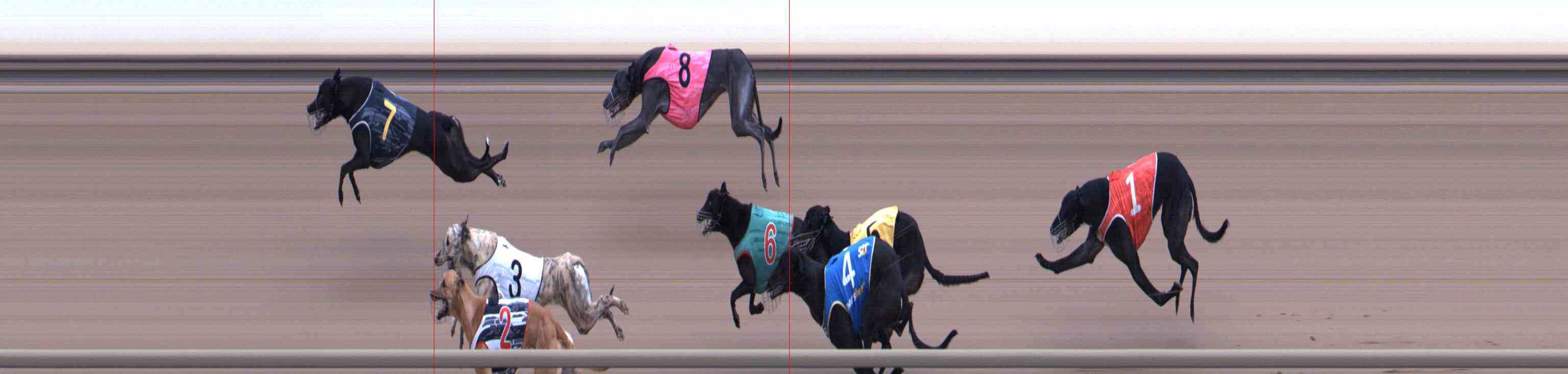 Photo finish for Healesville Race 5