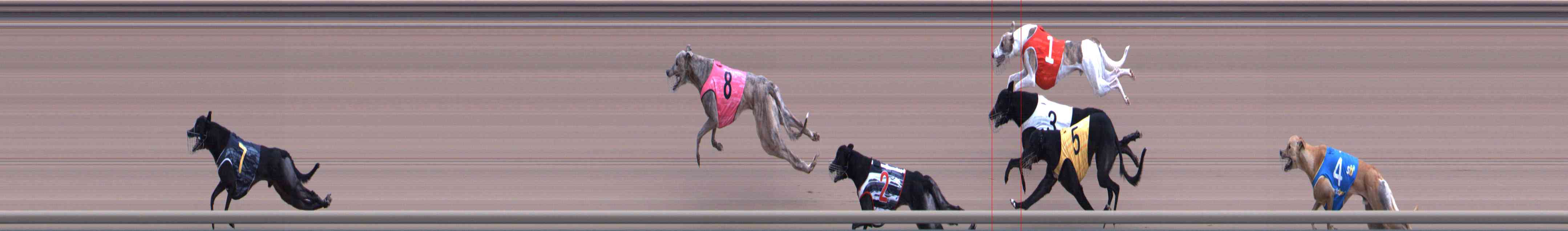 Photo finish for Healesville Race 6