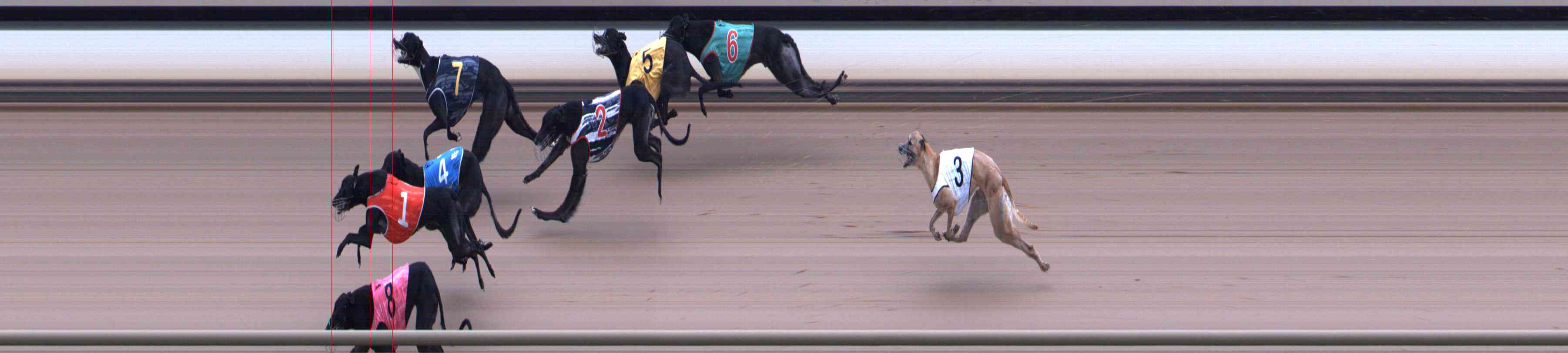 Photo finish for Healesville Race 7