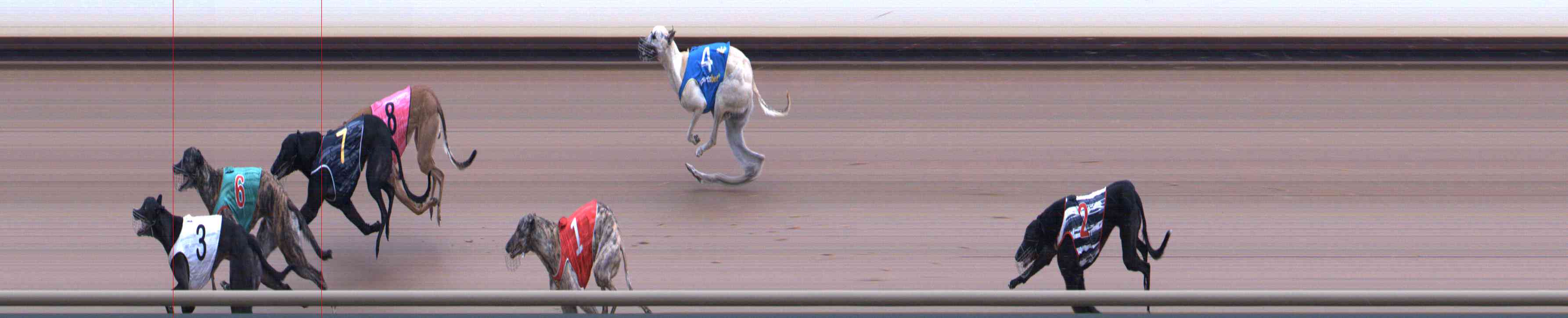 Photo finish for Healesville Race 8