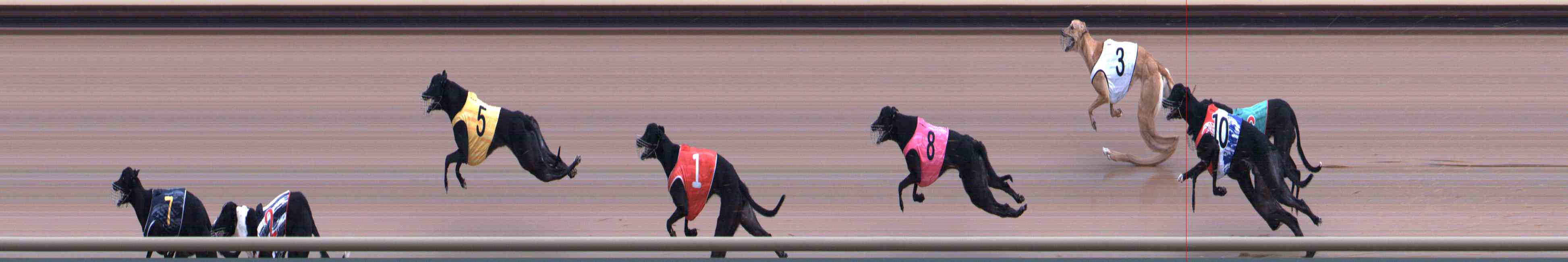 Photo finish for Healesville Race 9