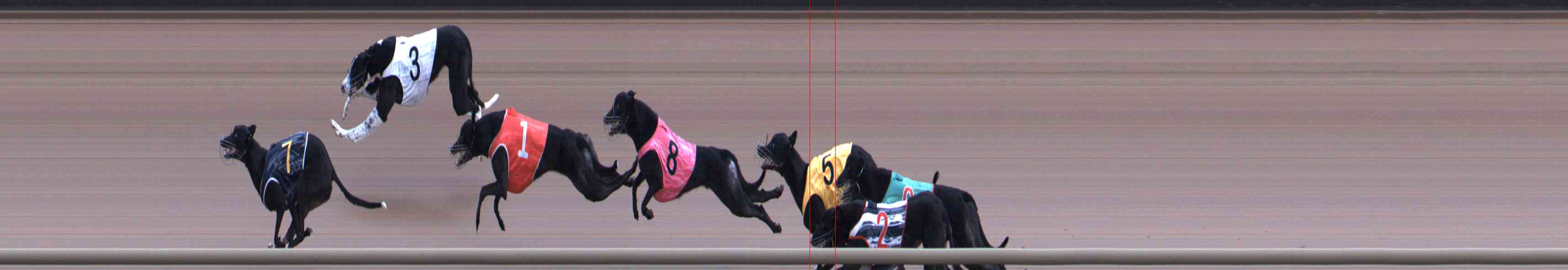 Photo finish for Healesville Race 10