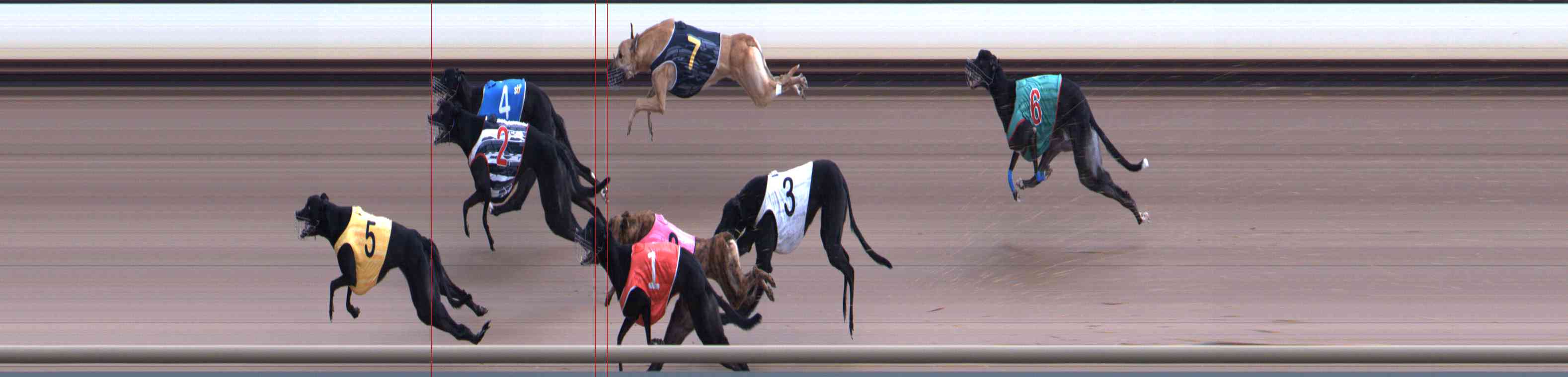 Photo finish for Healesville Race 11