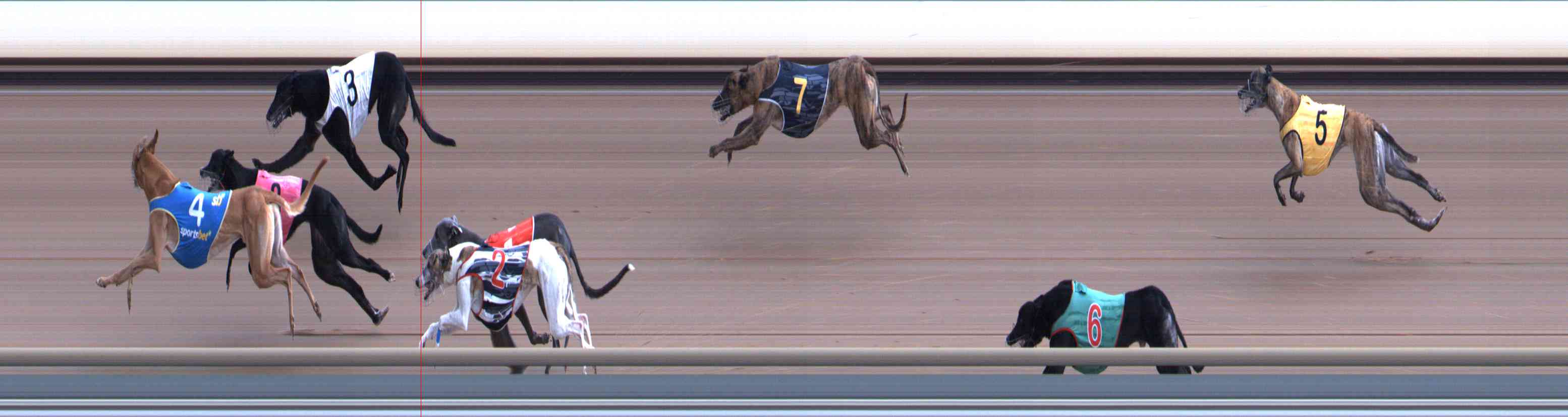 Photo finish for Healesville Race 12