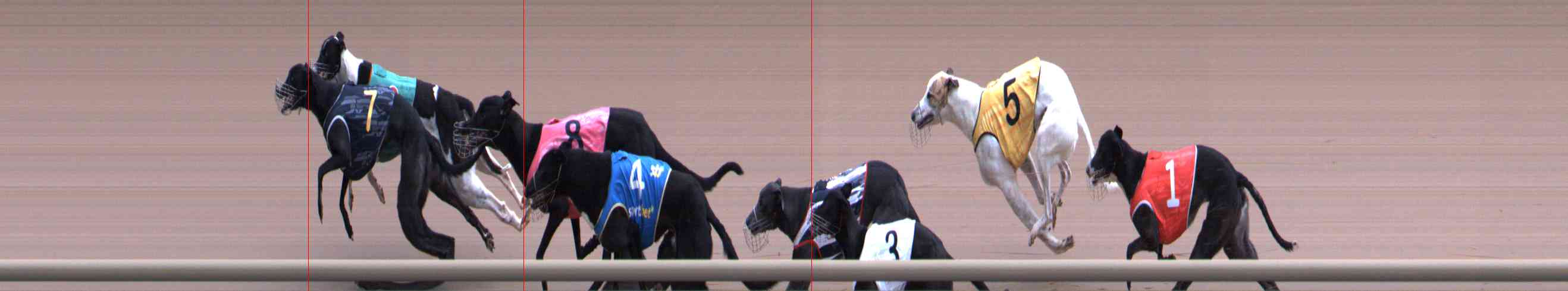 Photo finish for Healesville Race 2
