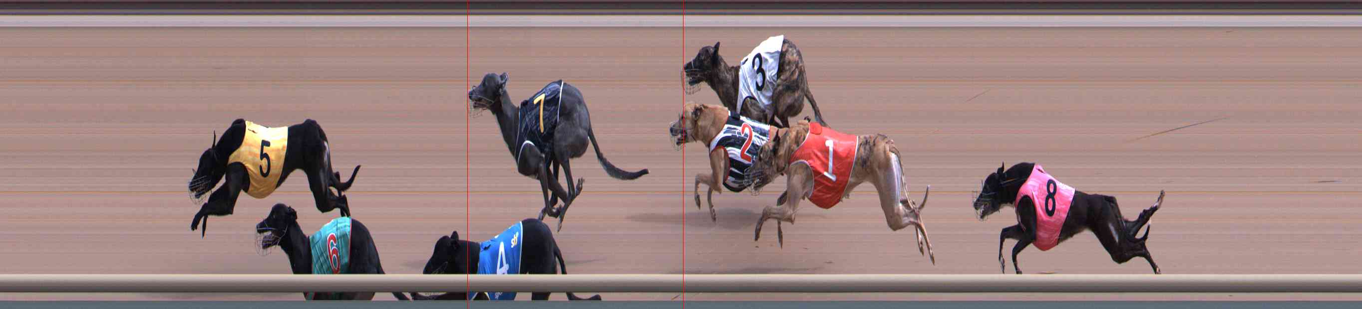 Photo finish for Healesville Race 3