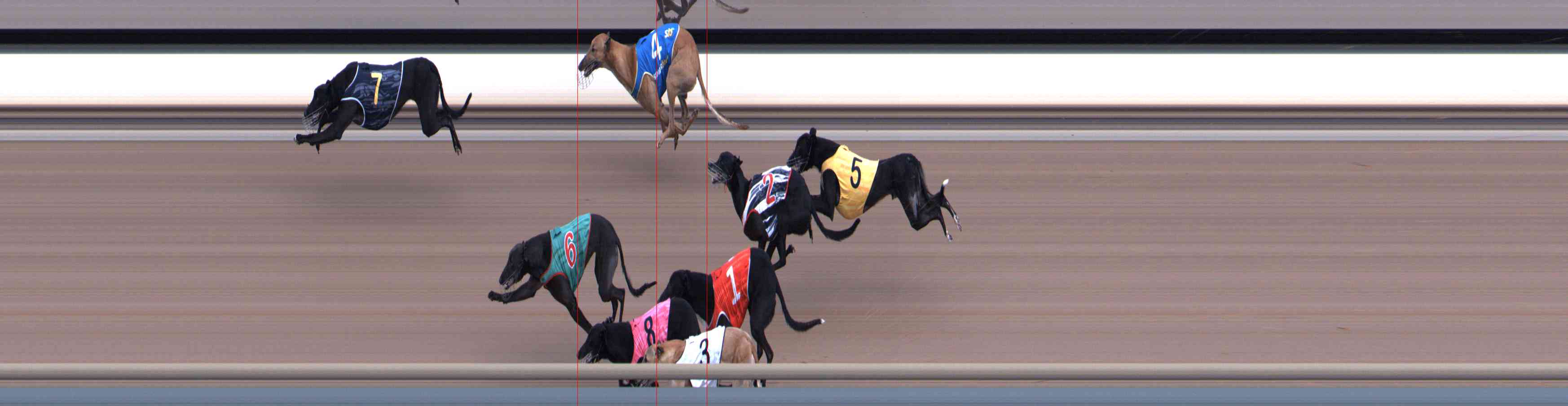 Photo finish for Healesville Race 4