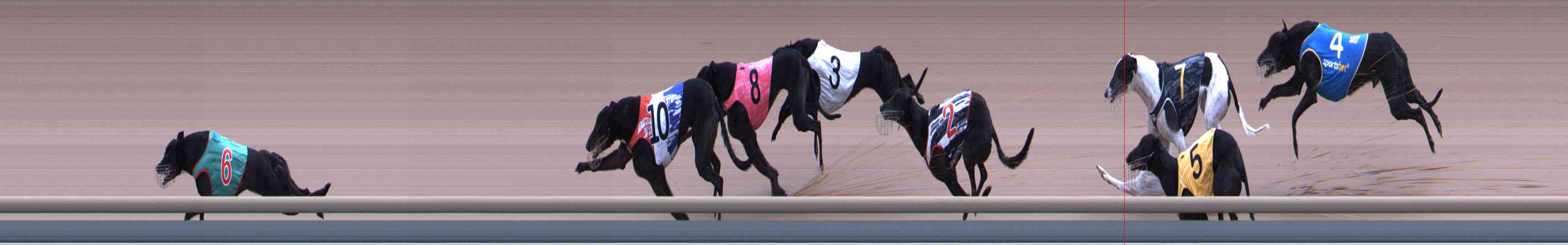 Photo finish for Healesville Race 5