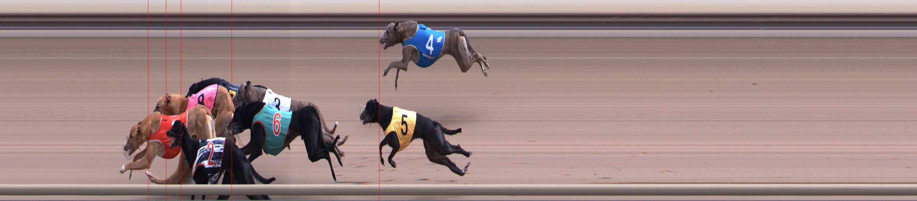 Photo finish for Healesville Race 7