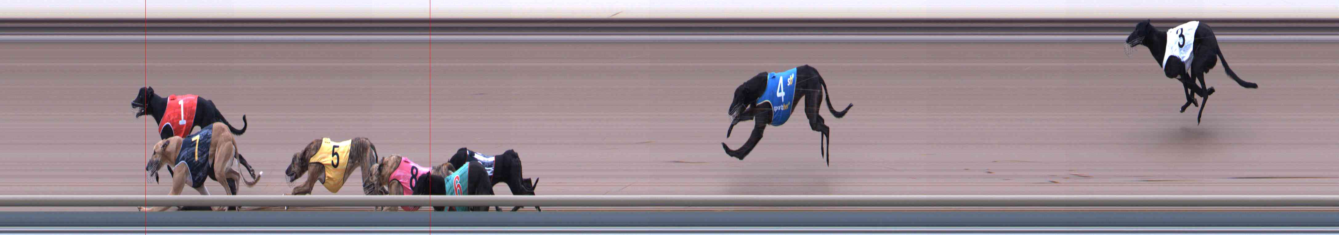 Photo finish for Healesville Race 8