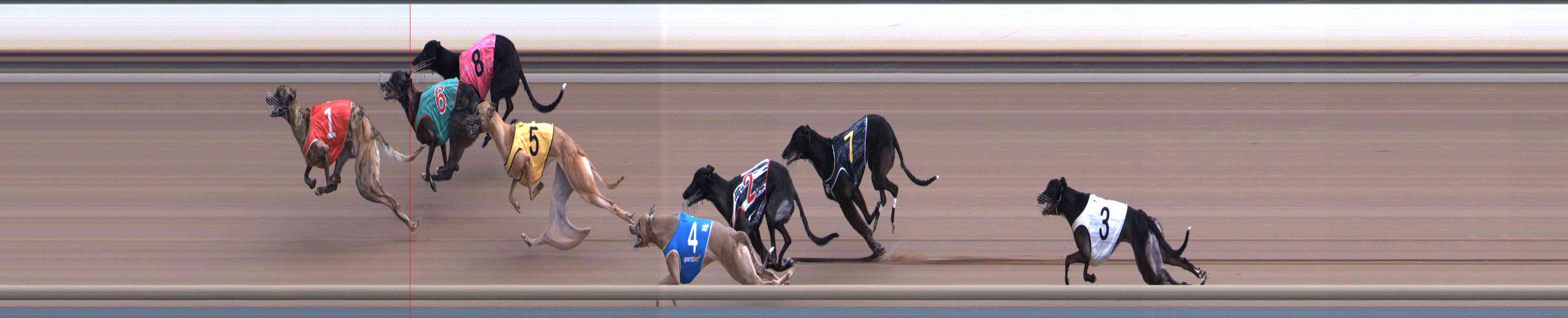 Photo finish for Healesville Race 9