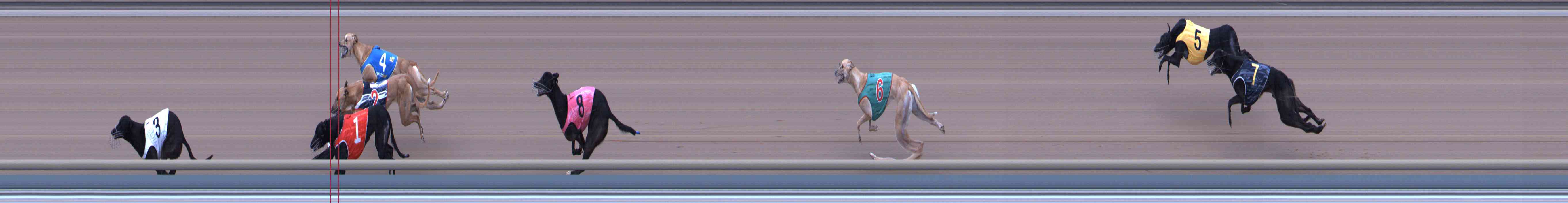 Photo finish for Healesville Race 10