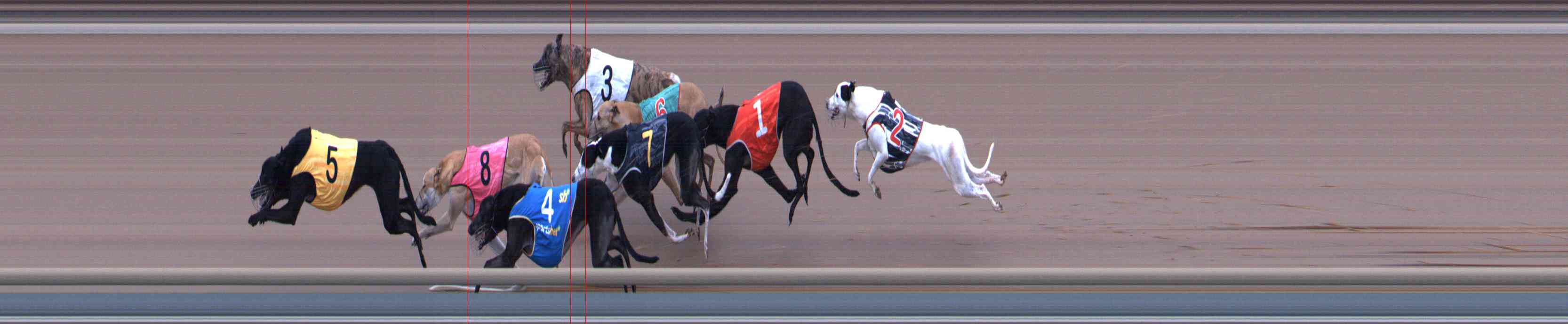 Photo finish for Healesville Race 11