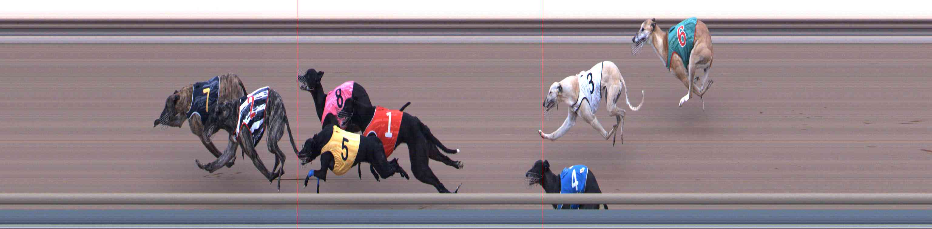 Photo finish for Healesville Race 12