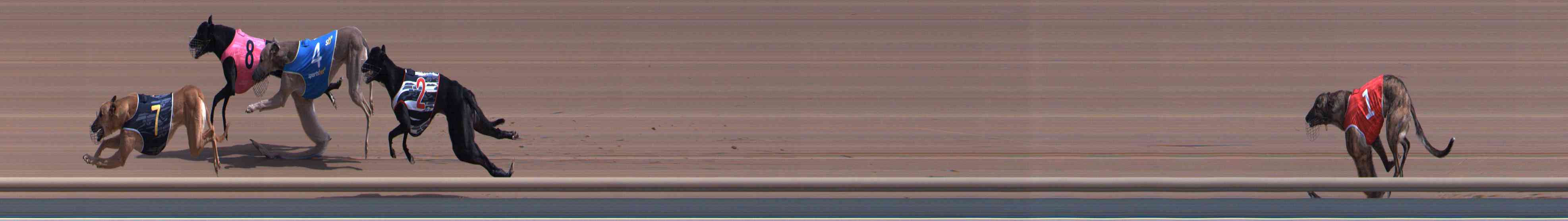 Photo finish for Healesville Race 1