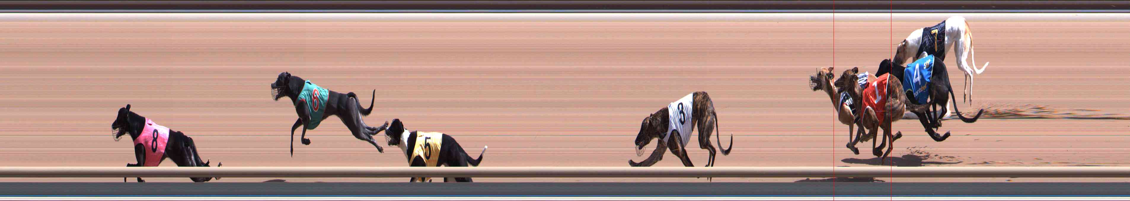 Photo finish for Healesville Race 2