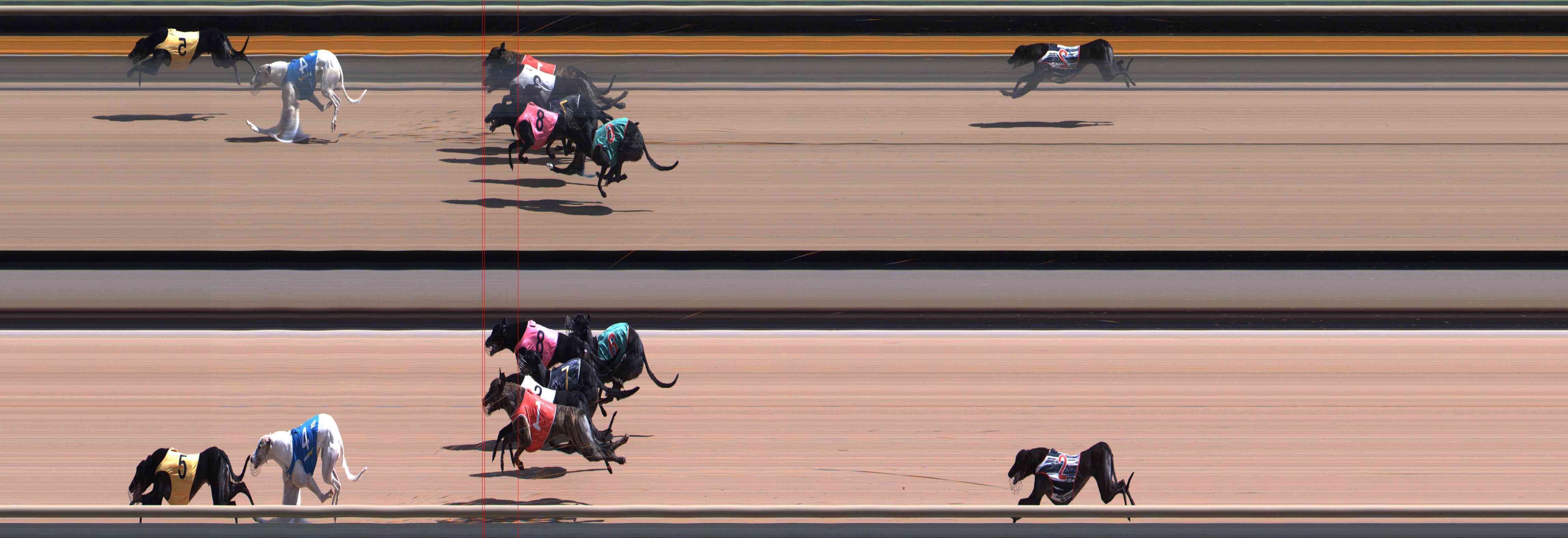 Photo finish for Healesville Race 3