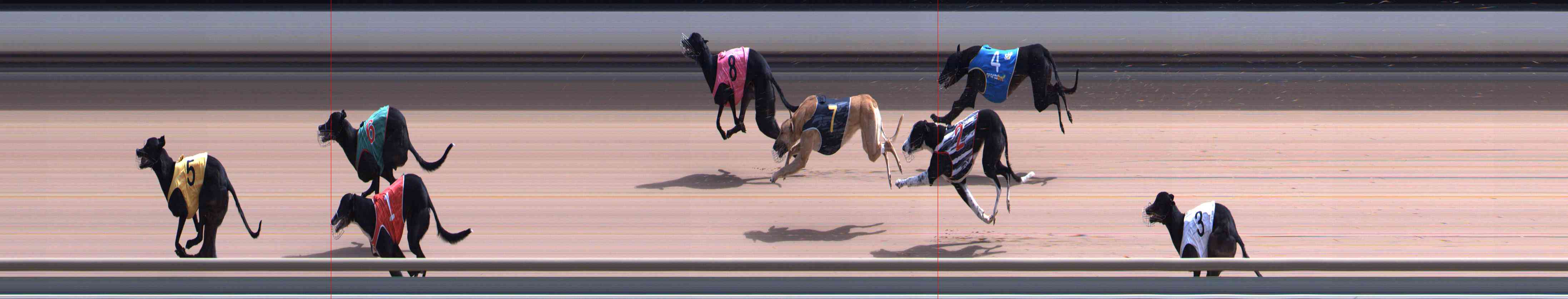 Photo finish for Healesville Race 7