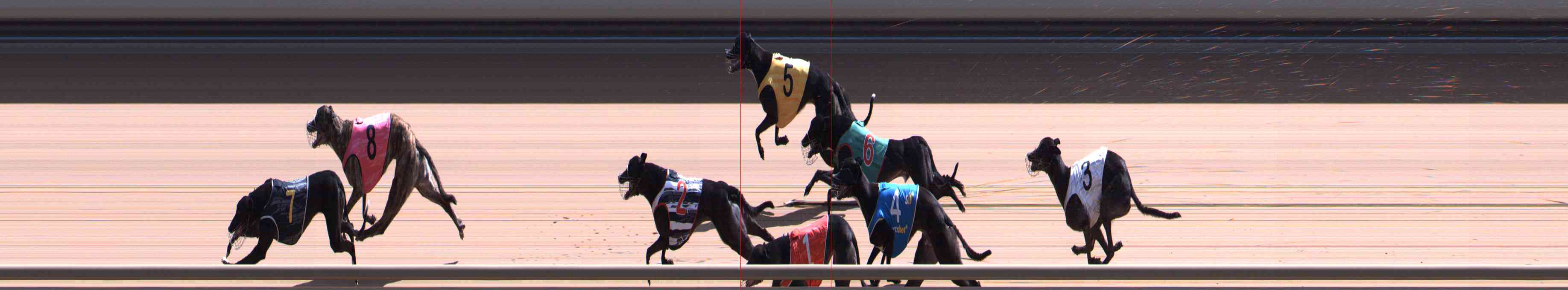 Photo finish for Healesville Race 8