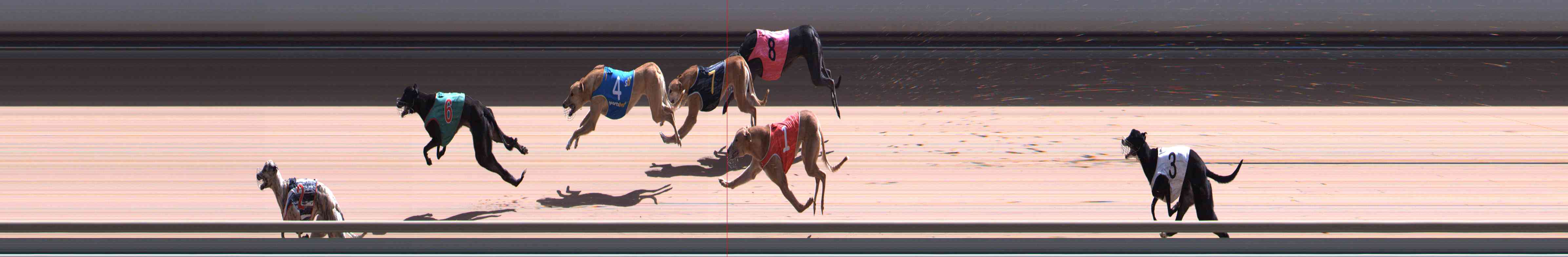 Photo finish for Healesville Race 9