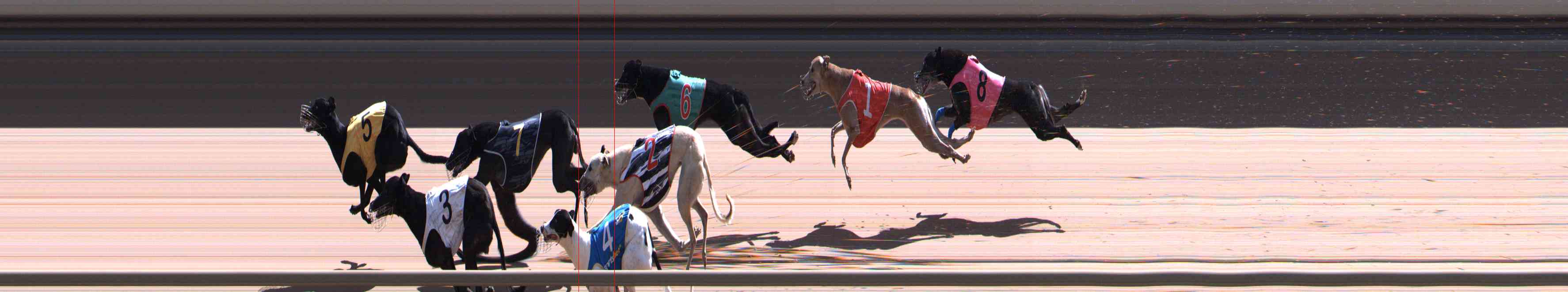Photo finish for Healesville Race 10