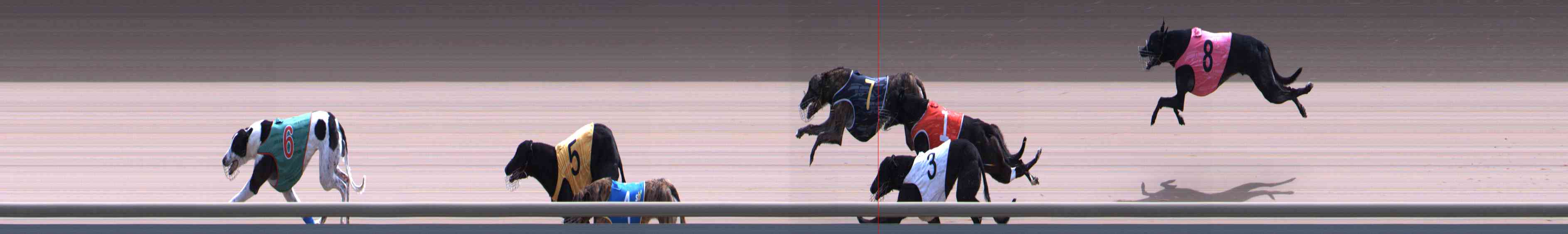 Photo finish for Healesville Race 11