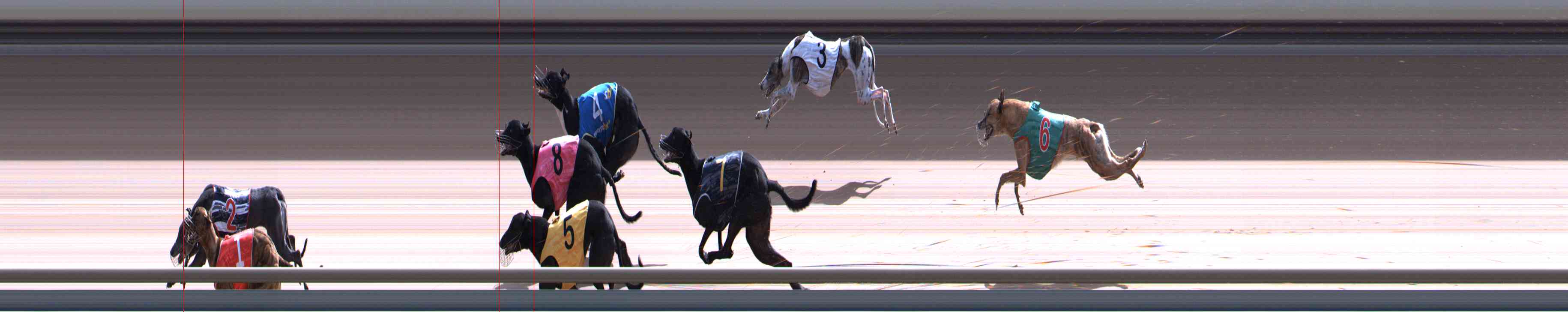 Photo finish for Healesville Race 12
