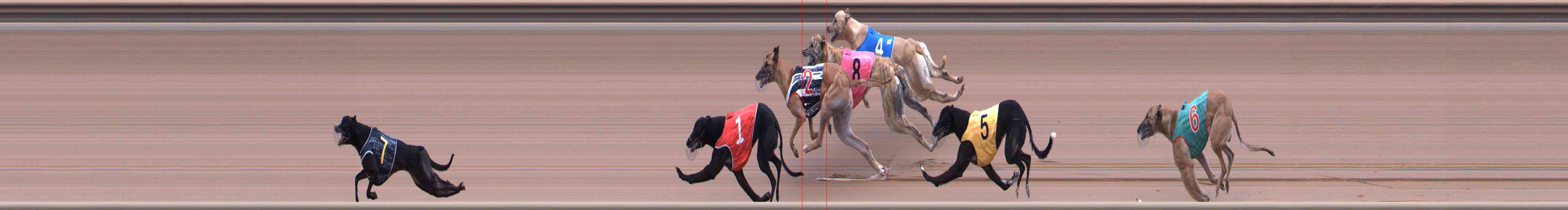 Photo finish for Healesville Race 1