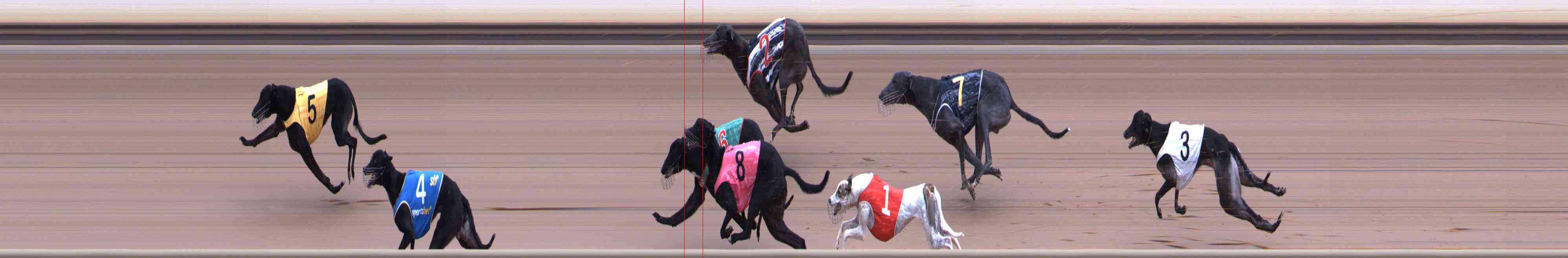 Photo finish for Healesville Race 2