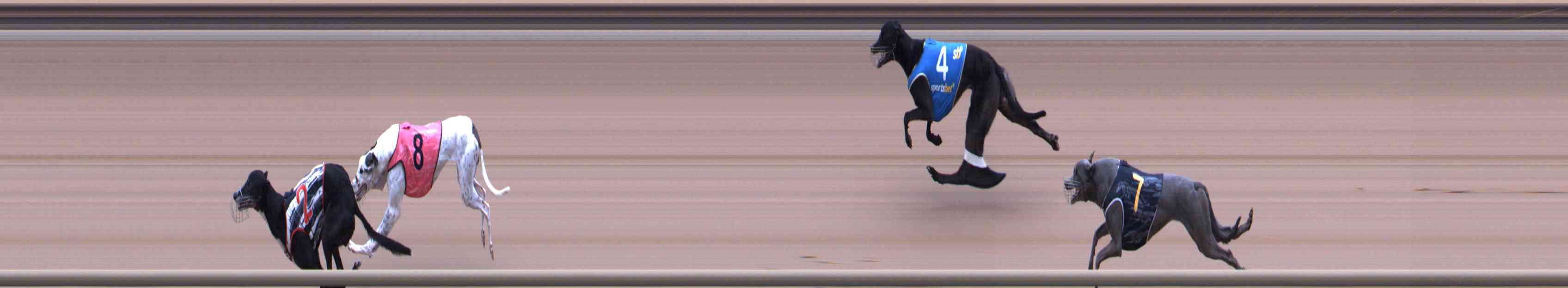 Photo finish for Healesville Race 4
