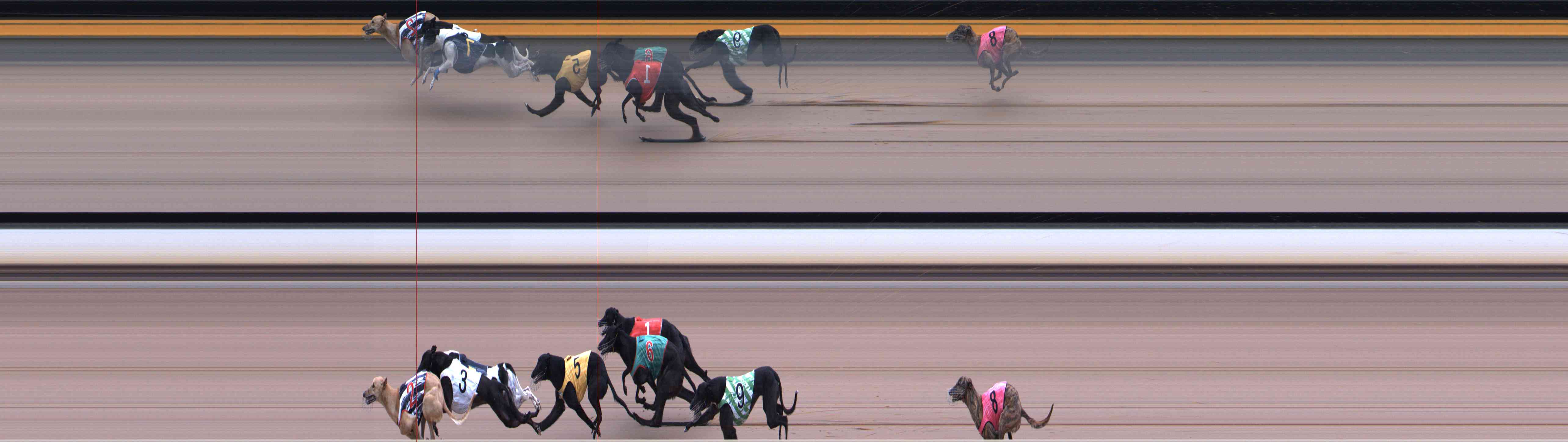 Photo finish for Healesville Race 5