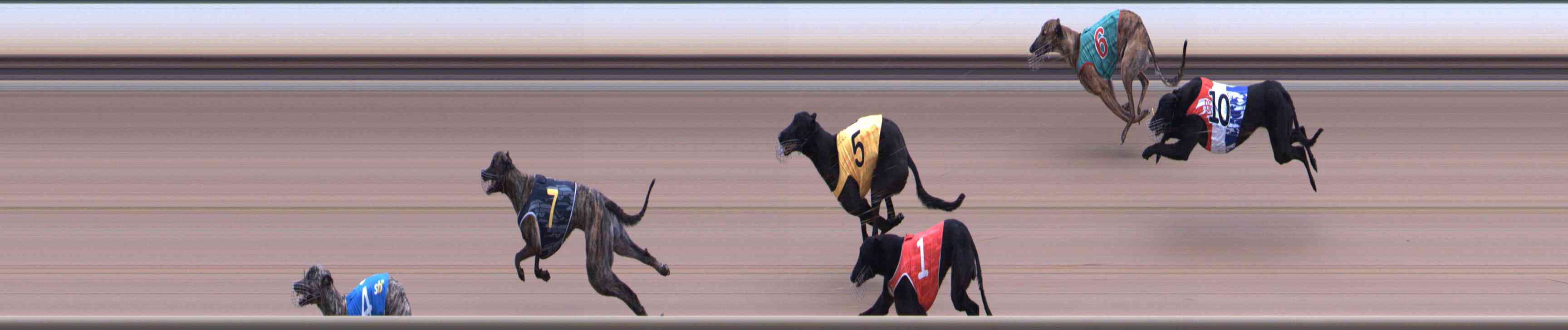 Photo finish for Healesville Race 6