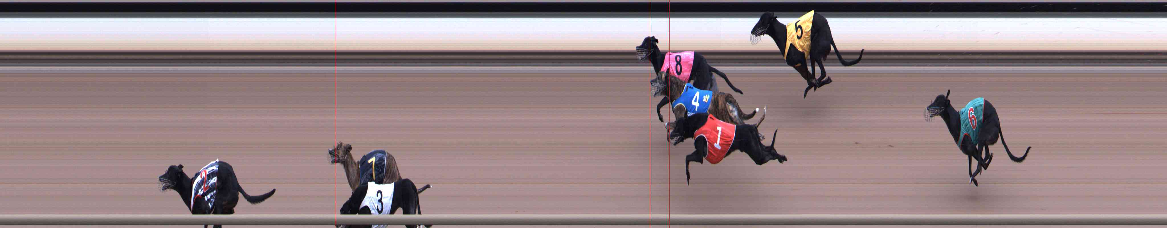 Photo finish for Healesville Race 7
