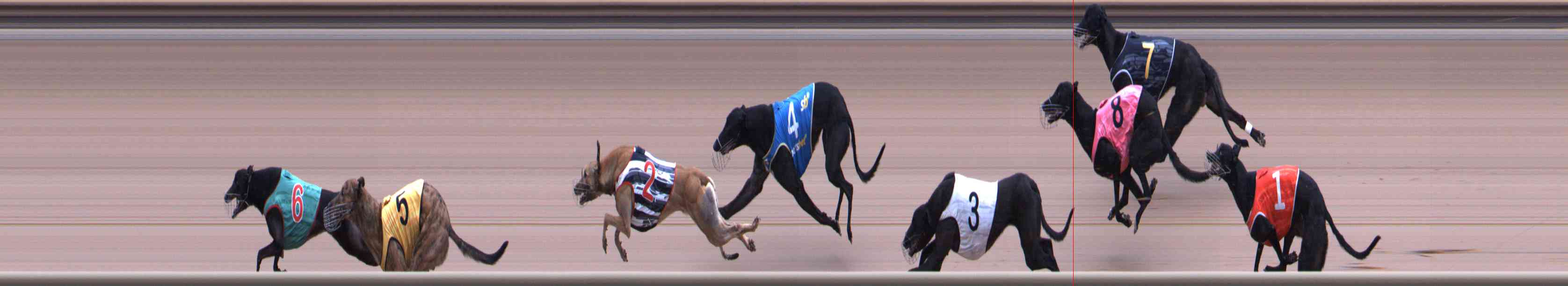 Photo finish for Healesville Race 8