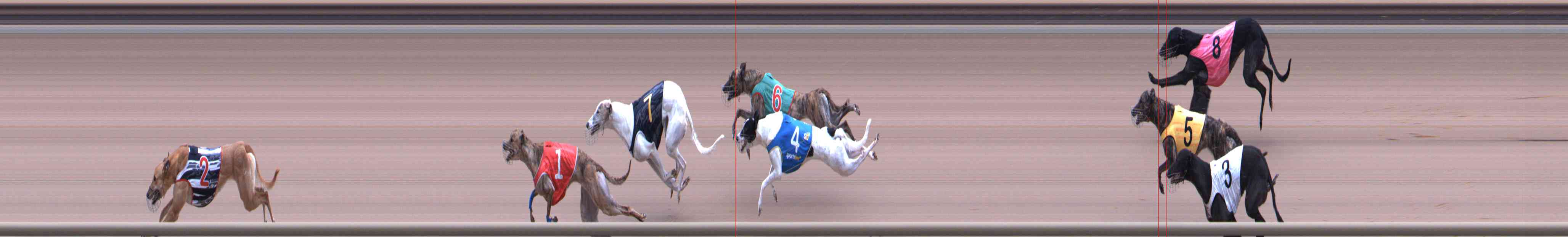Photo finish for Healesville Race 9