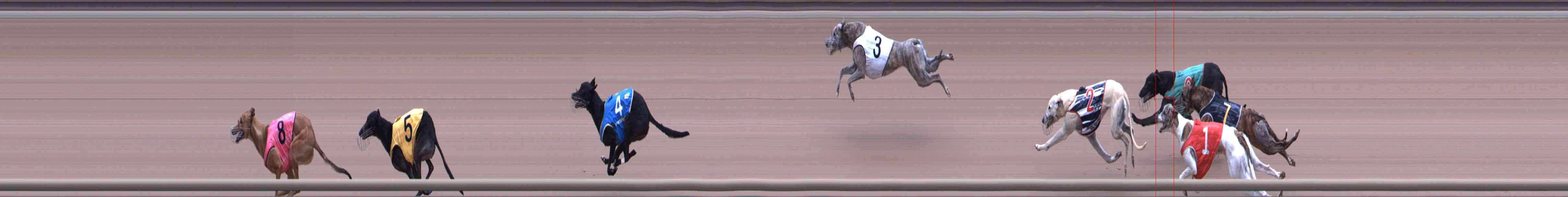 Photo finish for Healesville Race 10
