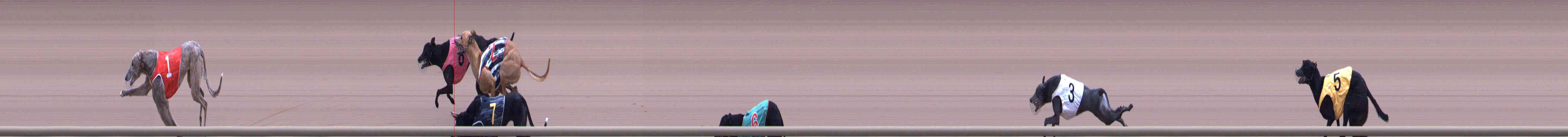 Photo finish for Healesville Race 11