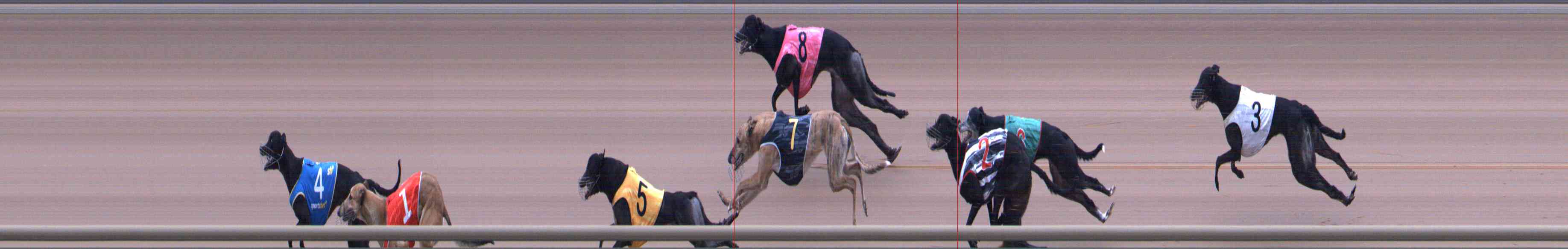 Photo finish for Healesville Race 12