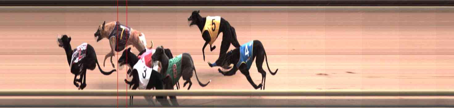 Photo finish for Healesville Race 4