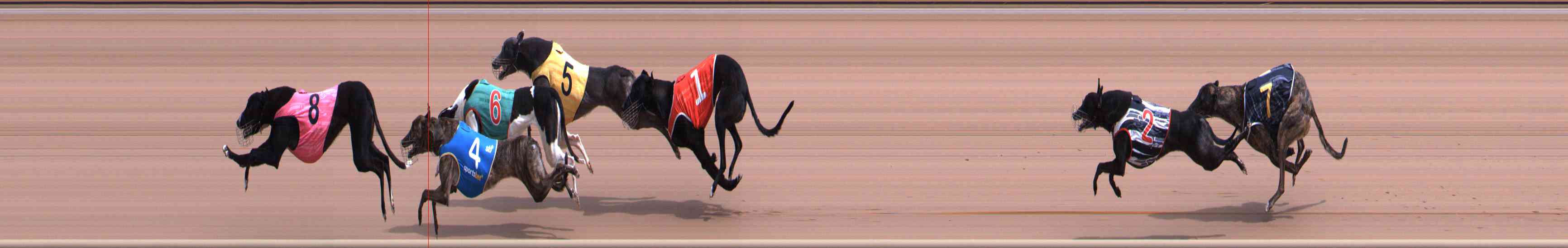 Photo finish for Healesville Race 1