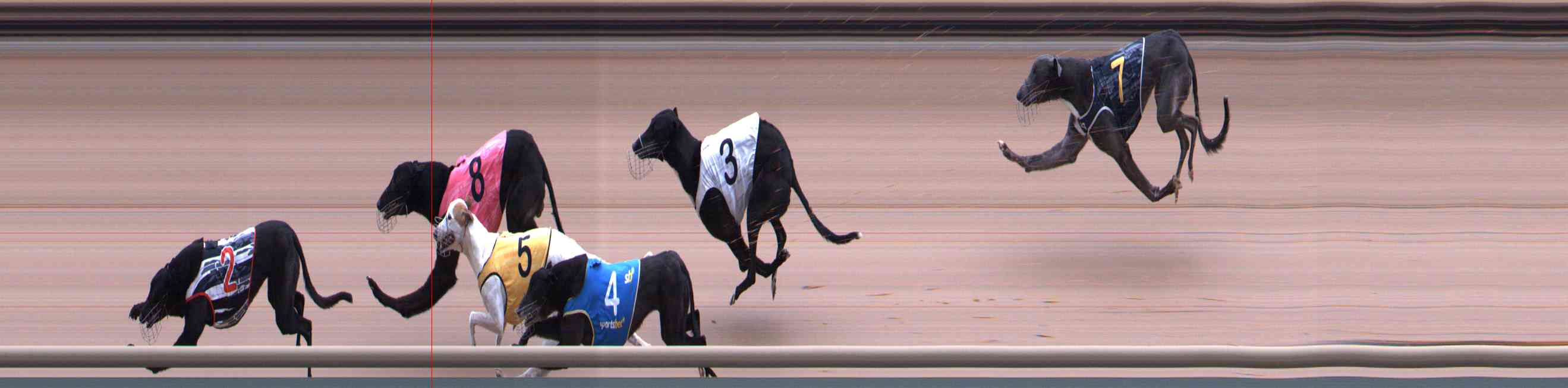 Photo finish for Healesville Race 2
