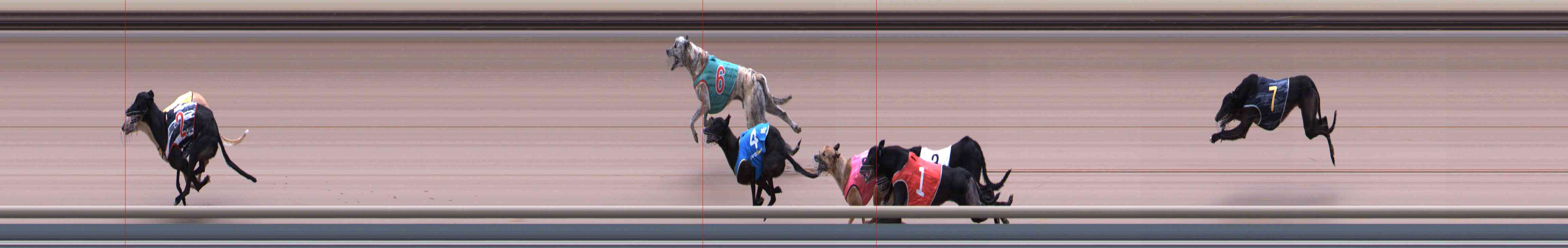 Photo finish for Healesville Race 3