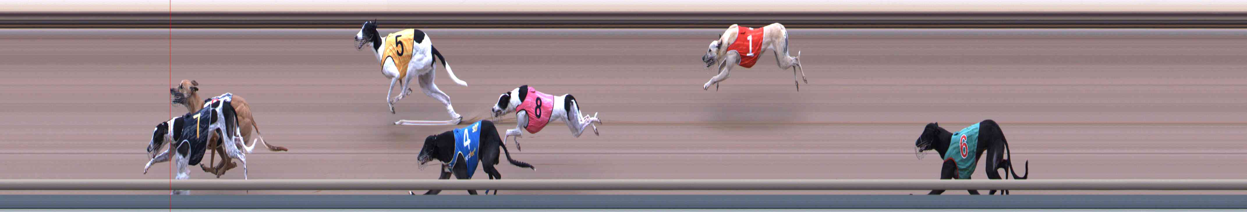 Photo finish for Healesville Race 5