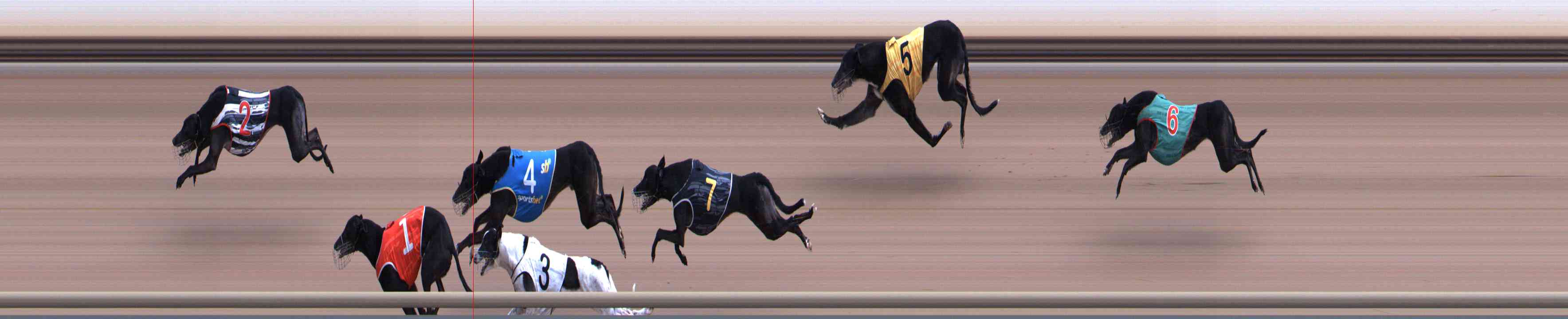 Photo finish for Healesville Race 6