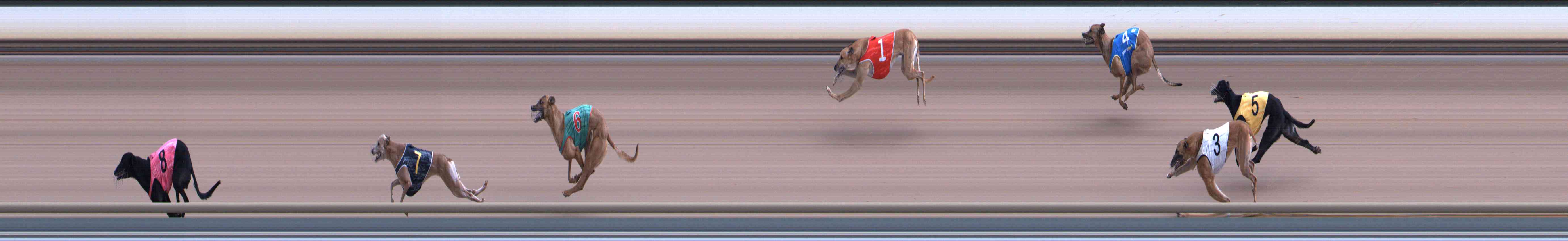 Photo finish for Healesville Race 7