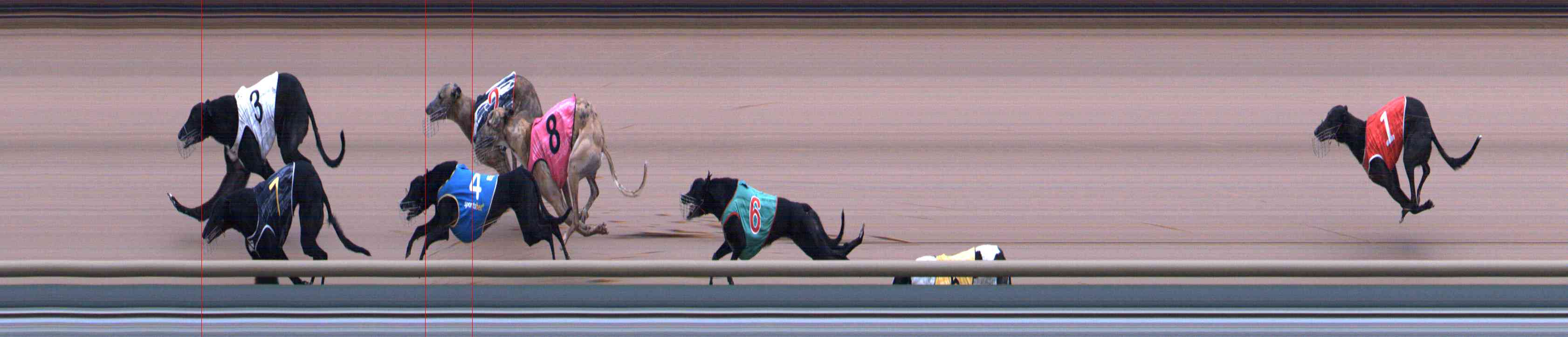 Photo finish for Healesville Race 8