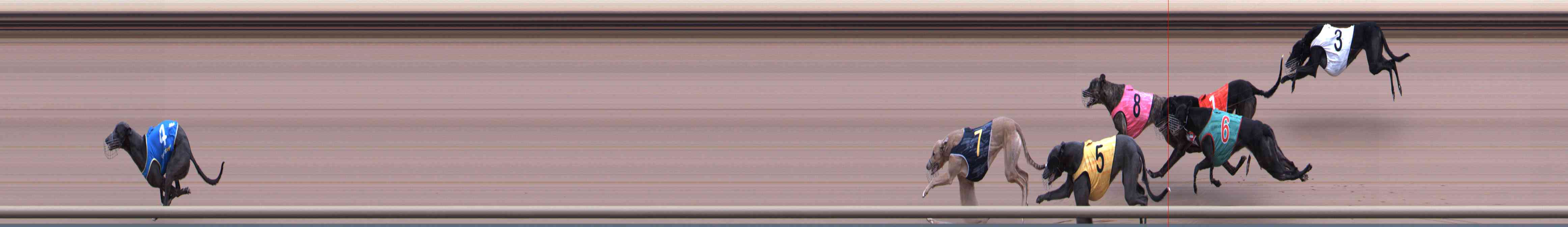 Photo finish for Healesville Race 9