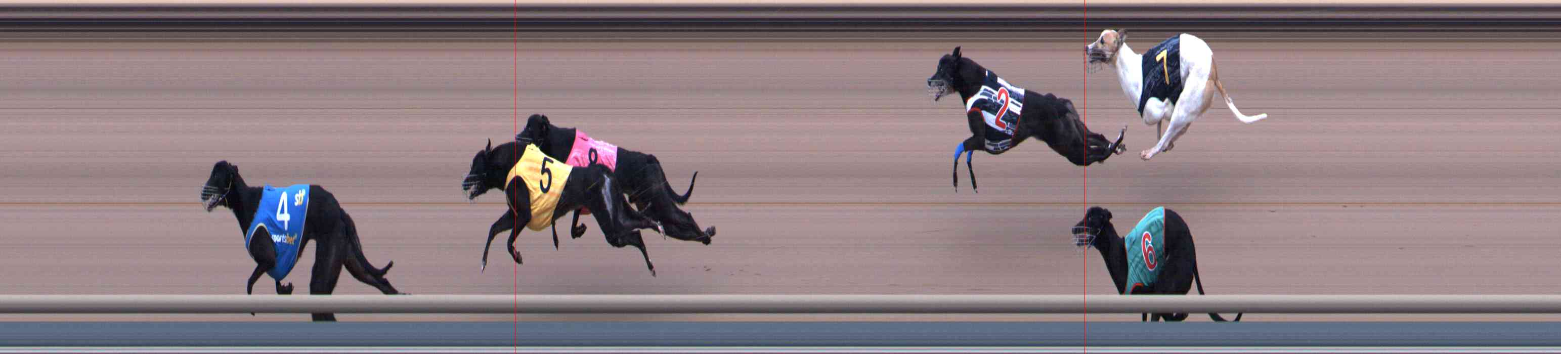 Photo finish for Healesville Race 10