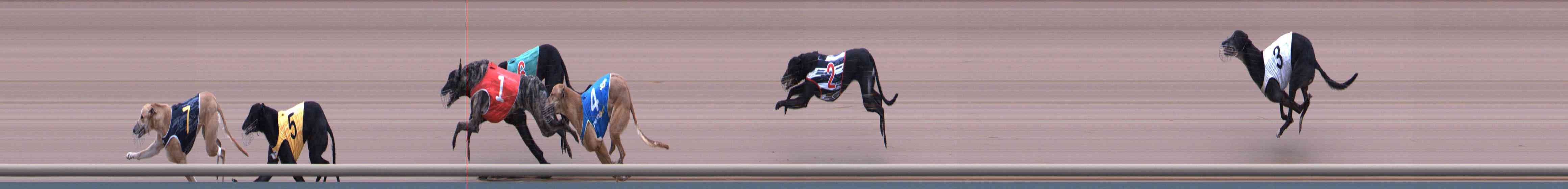 Photo finish for Healesville Race 11